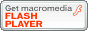 get macromedia flash player