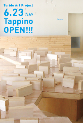 TAP2008_DM