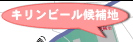 �L�����r�[�����n
